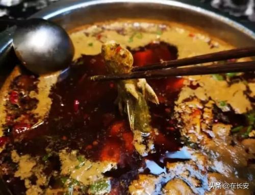 西安牛排涮锅排名前十(西安好吃的火锅店排名)插图22 西安牛排涮锅排名前十(西安好吃的火锅店排名)插图22