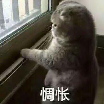 选国家征服世界的游戏(控制一个国家占领全球的手机游戏)