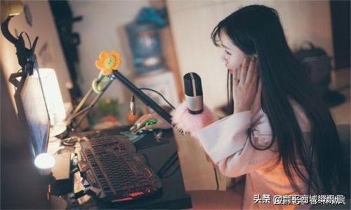 前十声卡排名(声卡十大名牌有哪些)插图 前十声卡排名(声卡十大名牌有哪些)插图