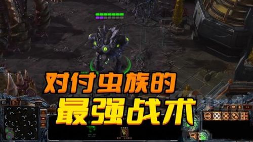星际争霸2虫族打法(星际争霸攻略虫族)插图 星际争霸2虫族打法(星际争霸攻略虫族)插图