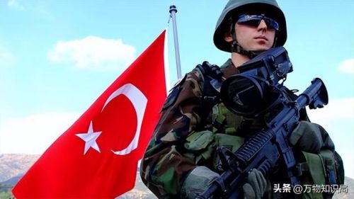 最牛部队排名前十(部队哪个部门最牛)插图13 最牛部队排名前十(部队哪个部门最牛)插图13