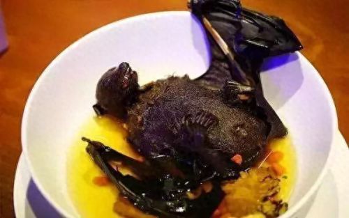 牛奶鱼群汤(牛奶麻酱汤做法大全)插图29 牛奶鱼群汤(牛奶麻酱汤做法大全)插图29