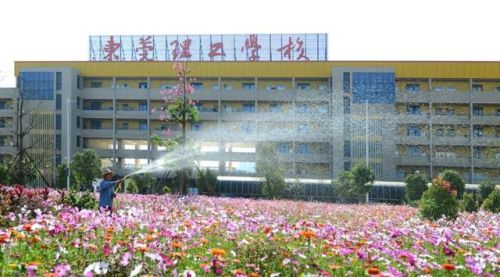 东莞排名前十的中职(东莞的中专学校有哪些)插图2 东莞排名前十的中职(东莞的中专学校有哪些)插图2