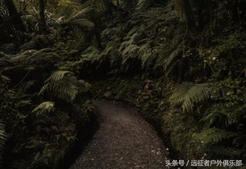 合肥机车俱乐部排名前十(合肥禁摩范围)插图5 合肥机车俱乐部排名前十(合肥禁摩范围)插图5