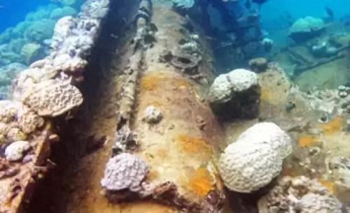 牛奶鱼群汤(牛奶麻酱汤做法大全)插图23 牛奶鱼群汤(牛奶麻酱汤做法大全)插图23