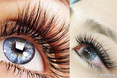 睫毛笔刷(画睫毛用什么笔刷)插图1