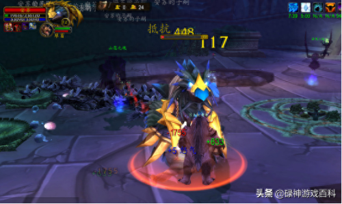 海狮试炼(德鲁伊海狮试炼图解)