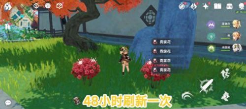 原神石珀在哪(石珀哪里采集)插图2 原神石珀在哪(石珀哪里采集)插图2