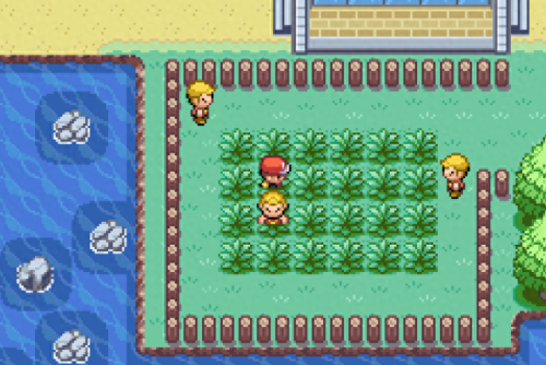 叶绿金手指(叶绿金手指教程)插图10 叶绿金手指(叶绿金手指教程)插图10