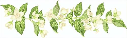 英雄联盟阿卡丽的神秘2023(lol打折活动神秘商店)插图25 英雄联盟阿卡丽的神秘2023(lol打折活动神秘商店)插图25