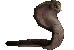 魔兽世界猎人宝宝大全(魔兽世界猎人稀有宠物获取方式)