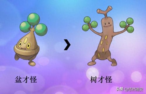 波克比几级进化(口袋妖怪魂银波克比几级进化好)插图20