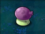 植物大战僵尸1老版本(plants vs zombies原版)插图47