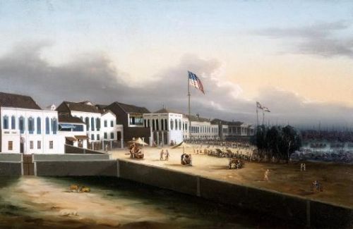 洛克王国紫藤的快速收集方法(洛克王国紫藤可掉落吗)插图1