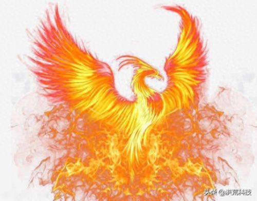 冰凤凰(冰凤凰vs火凤凰)