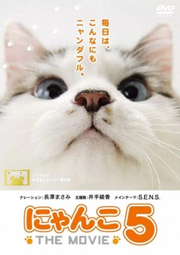 猫咪物语3(猫咪物语1官方)插图10 猫咪物语3(猫咪物语1官方)插图10