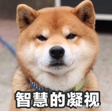 qq够级浪人记牌器(qq翻牌攻略)插图 qq够级浪人记牌器(qq翻牌攻略)插图