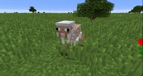 我的世界怎么养动物(我的世界动物饲养基地)插图2 我的世界怎么养动物(我的世界动物饲养基地)插图2