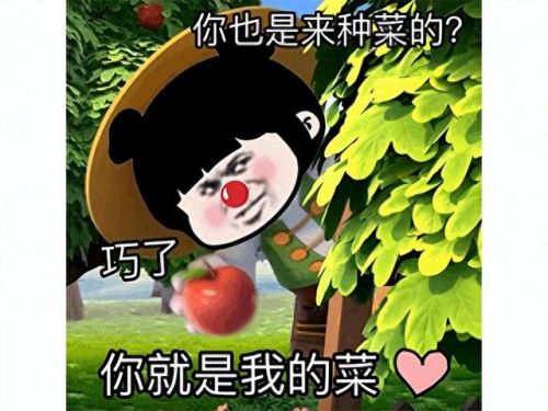 比较好玩的免费网游(2023网游排行榜)插图5