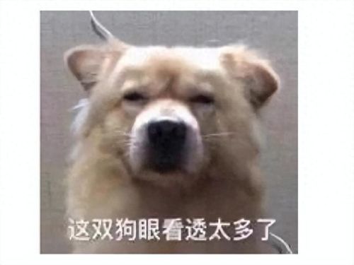 暗黑3不好玩(暗黑2为什么没人玩刺客)插图10 暗黑3不好玩(暗黑2为什么没人玩刺客)插图10