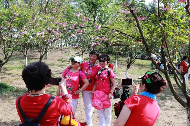 光遇浪漫樱花海怎么去(光遇警惕站姿长什么样)插图10