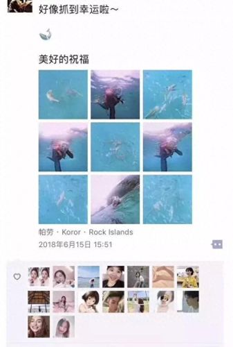 牛奶鱼群汤(牛奶麻酱汤做法大全)插图8 牛奶鱼群汤(牛奶麻酱汤做法大全)插图8