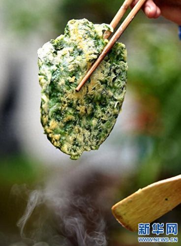 安豆苗电脑客户端(在家种豆苗的方法)插图5