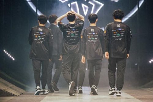 dfm战队是哪个国家(DFM战队是哪个国家的)插图2