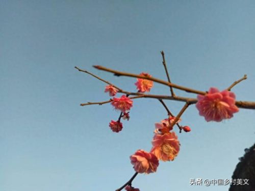 流浪天赋(流浪法师符文天赋)插图1 流浪天赋(流浪法师符文天赋)插图1