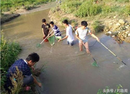 逃离带电水域攻略(逃离碎石河攻略)插图