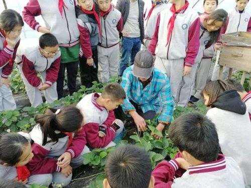 丁字型耳机排名前十(半入耳有线耳机什么牌子音质好)插图34 丁字型耳机排名前十(半入耳有线耳机什么牌子音质好)插图34