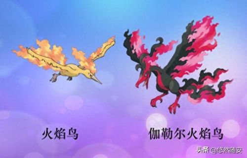 波克比几级进化(口袋妖怪魂银波克比几级进化好)插图2