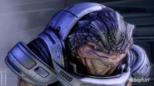 质量效应1(质量效应1莱克斯家族护甲)插图13 质量效应1(质量效应1莱克斯家族护甲)插图13