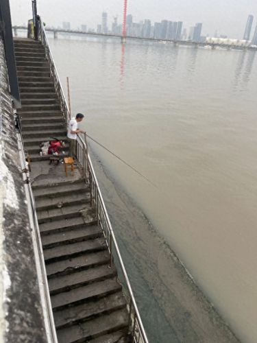 被称为软黄金的鱼(名叫黄金的淡水鱼)插图3