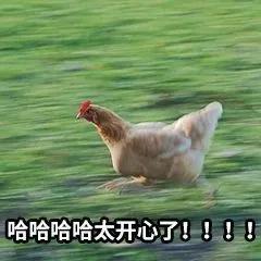 元旦qq表情(元旦快乐兔子表情)插图9