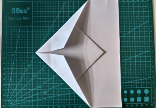 世界纸飞机排名前十(飞得最远的十大纸飞机)插图17 世界纸飞机排名前十(飞得最远的十大纸飞机)插图17