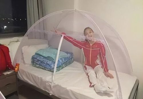 西班牙蚊帐排名前十图片(美朵嘉的蚊帐好吗)插图8 西班牙蚊帐排名前十图片(美朵嘉的蚊帐好吗)插图8