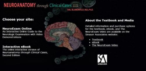 新编全医药学大词典(新编药物学电子版)插图9