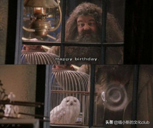 海格的礼物(海格的幸福生活)插图1 海格的礼物(海格的幸福生活)插图1