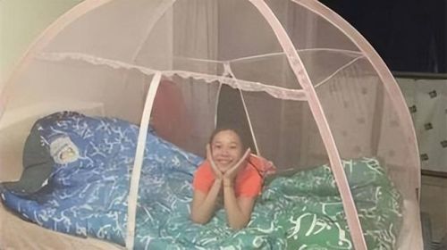 西班牙蚊帐排名前十图片(美朵嘉的蚊帐好吗)插图13 西班牙蚊帐排名前十图片(美朵嘉的蚊帐好吗)插图13