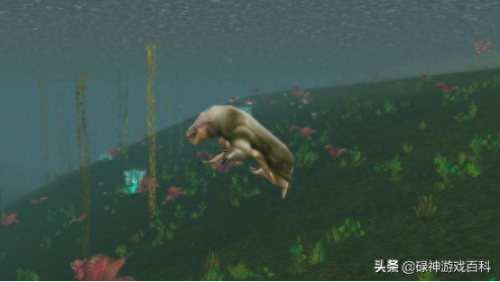 海狮试炼(德鲁伊海狮试炼图解)插图3