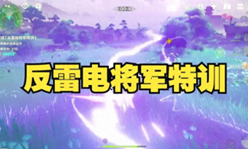 原神反雷电将军特训(原神雷电将军)插图