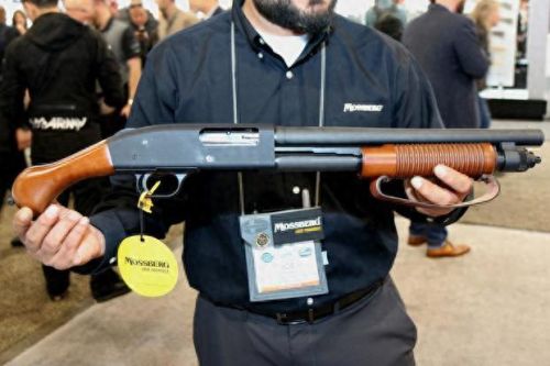 散弹抢和霰弹枪(霰弹枪)插图2