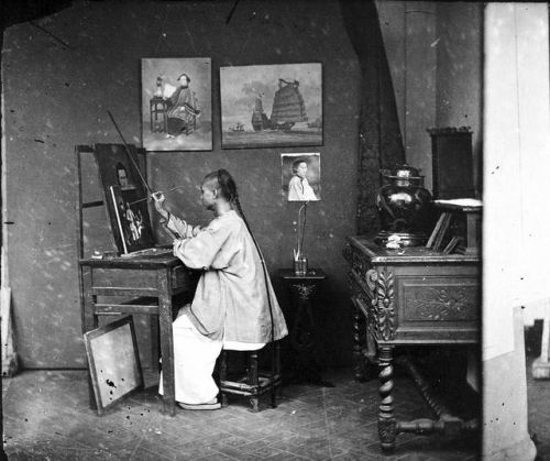 洛克王国紫藤的快速收集方法(洛克王国紫藤可掉落吗)插图10