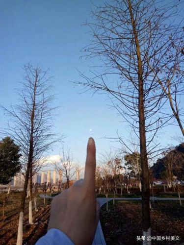 流浪天赋(流浪法师符文天赋)插图2 流浪天赋(流浪法师符文天赋)插图2