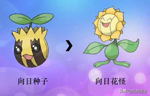 波克比几级进化(口袋妖怪魂银波克比几级进化好)插图23