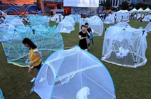 西班牙蚊帐排名前十图片(美朵嘉的蚊帐好吗)插图11 西班牙蚊帐排名前十图片(美朵嘉的蚊帐好吗)插图11