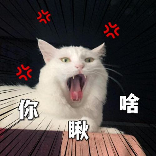 撒娇神器(撒娇魔法棒)插图4