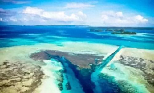 牛奶鱼群汤(牛奶麻酱汤做法大全)插图24 牛奶鱼群汤(牛奶麻酱汤做法大全)插图24