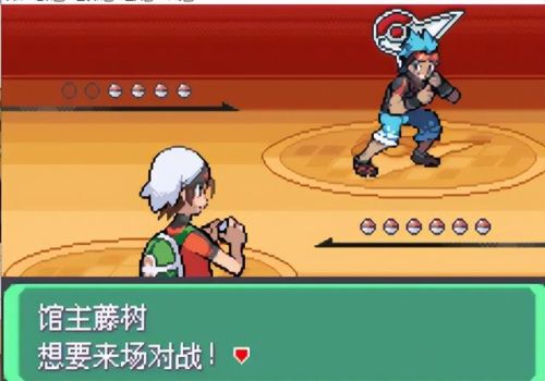 口袋妖怪究极绿宝石(口袋妖怪版本大全)插图20